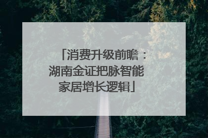 消费升级前瞻：湖南金证把脉智能家居增长逻辑