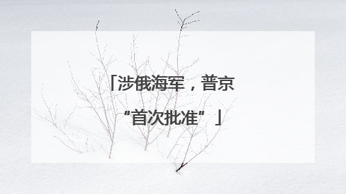 涉俄海军，普京“首次批准”