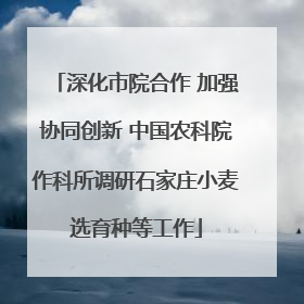 深化市院合作 加强协同创新 中国农科院作科所调研石家庄小麦选育种等工作