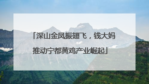 深山金凤振翅飞，钱大妈推动宁都黄鸡产业崛起