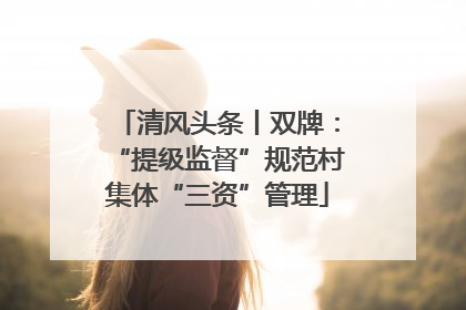 清风头条丨双牌：“提级监督”规范村集体“三资”管理