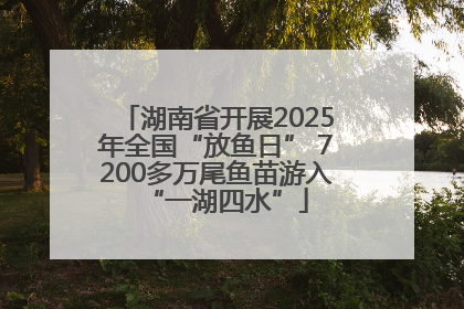 湖南省开展2025年全国“放鱼日” 7200多万尾鱼苗游入“一湖四水”