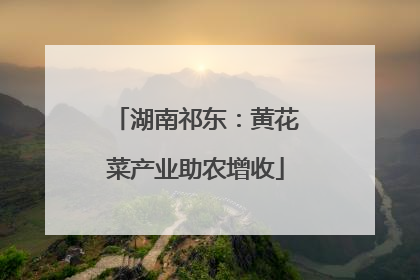 湖南祁东：黄花菜产业助农增收