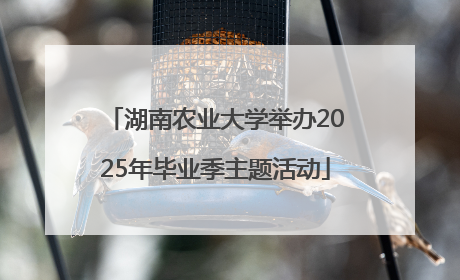 湖南农业大学举办2025年毕业季主题活动