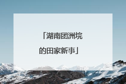 湖南团洲垸的田家新事