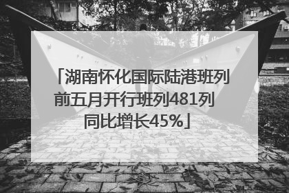 湖南怀化国际陆港班列前五月开行班列481列 同比增长45%