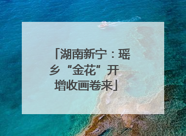 湖南新宁：瑶乡“金花”开 增收画卷来