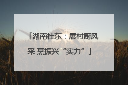 湖南桂东：展村厨风采 烹振兴“实力”