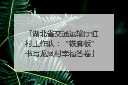 湖北省交通运输厅驻村工作队：“铁脚板”书写龙凤村幸福答卷