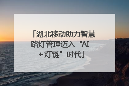 湖北移动助力智慧路灯管理迈入“AI＋灯链”时代
