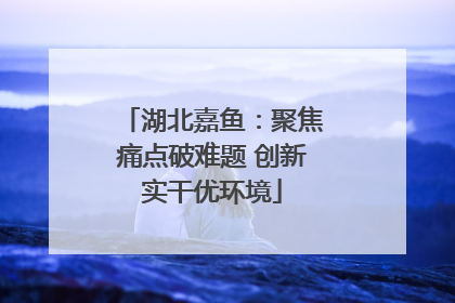 湖北嘉鱼：聚焦痛点破难题 创新实干优环境