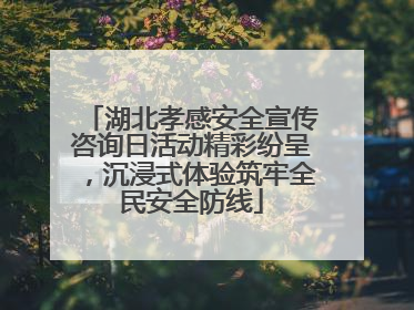 湖北孝感安全宣传咨询日活动精彩纷呈，沉浸式体验筑牢全民安全防线