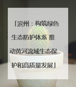 滨州：构筑绿色生态防护体系 推动黄河流域生态保护和高质量发展