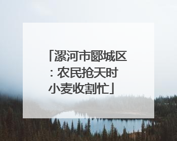 漯河市郾城区：农民抢天时 小麦收割忙