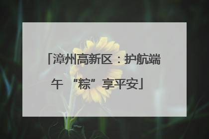 漳州高新区：护航端午 “粽”享平安