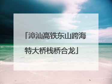 漳汕高铁东山跨海特大桥栈桥合龙