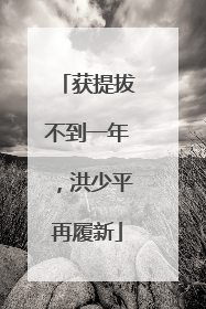 获提拔不到一年，洪少平再履新