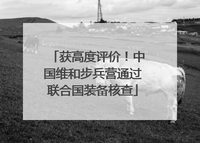 获高度评价！中国维和步兵营通过联合国装备核查