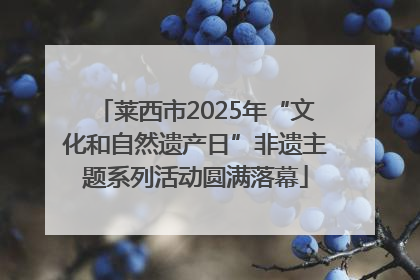 莱西市2025年“文化和自然遗产日”非遗主题系列活动圆满落幕