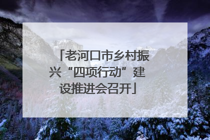 老河口市乡村振兴“四项行动”建设推进会召开