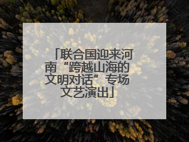联合国迎来河南“跨越山海的文明对话”专场文艺演出