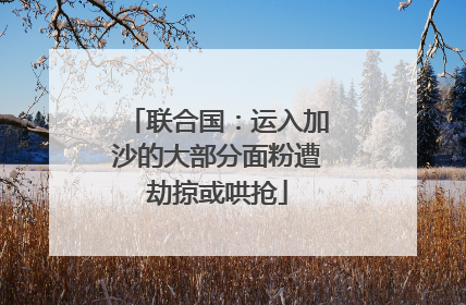 联合国：运入加沙的大部分面粉遭劫掠或哄抢