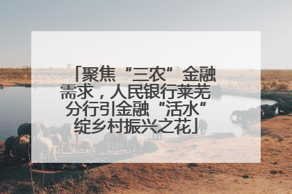 聚焦“三农”金融需求，人民银行莱芜分行引金融“活水”绽乡村振兴之花