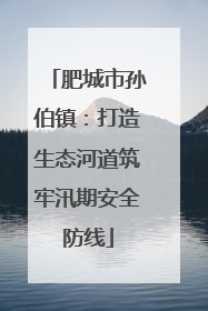 肥城市孙伯镇：打造生态河道筑牢汛期安全防线