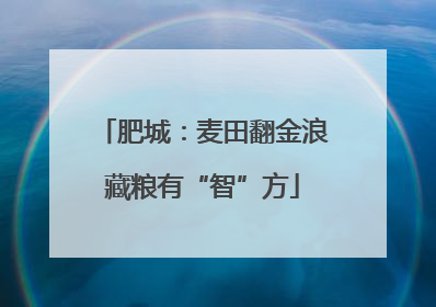 肥城：麦田翻金浪藏粮有“智”方