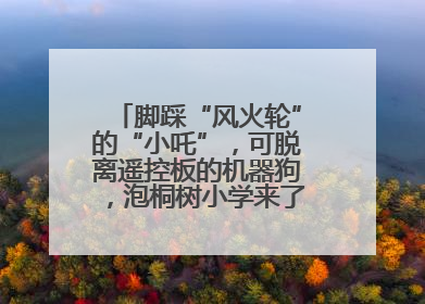 脚踩“风火轮”的“小吒”，可脱离遥控板的机器狗，泡桐树小学来了新朋友！