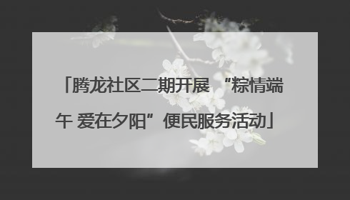 腾龙社区二期开展 “粽情端午 爱在夕阳”便民服务活动