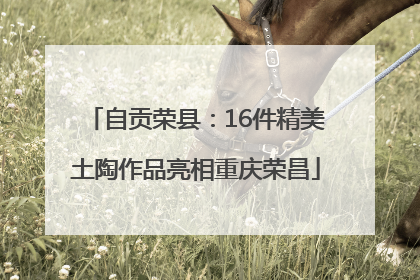 自贡荣县：16件精美土陶作品亮相重庆荣昌