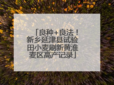良种+良法！新乡延津县试验田小麦刷新黄淮麦区高产记录