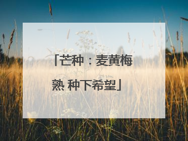 芒种：麦黄梅熟 种下希望