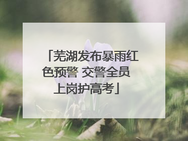 芜湖发布暴雨红色预警 交警全员上岗护高考