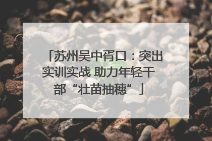 苏州吴中胥口：突出实训实战 助力年轻干部“壮苗抽穗”