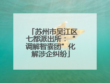 苏州市吴江区七都派出所：“调解智囊团”化解涉企纠纷