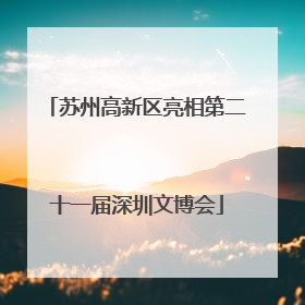 苏州高新区亮相第二十一届深圳文博会