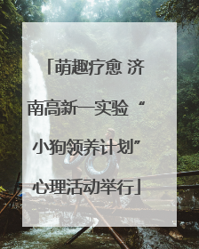 萌趣疗愈 济南高新一实验“小狗领养计划”心理活动举行