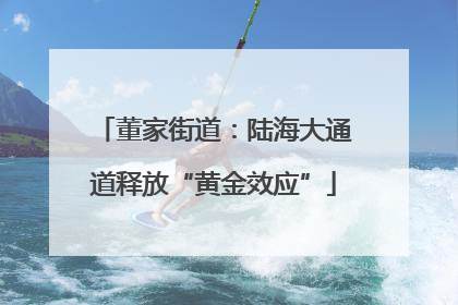 董家街道：陆海大通道释放“黄金效应”