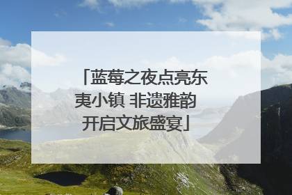 蓝莓之夜点亮东夷小镇 非遗雅韵开启文旅盛宴