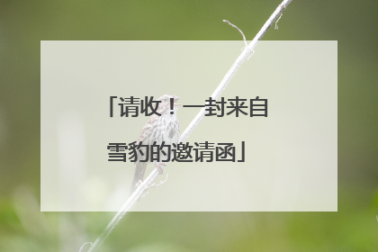 请收！一封来自雪豹的邀请函