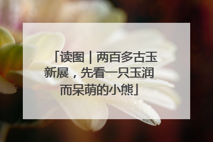 读图｜两百多古玉新展，先看一只玉润而呆萌的小熊