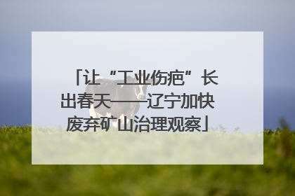 让“工业伤疤”长出春天——辽宁加快废弃矿山治理观察