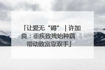 让爱无“碍”｜许加良：重疾致残始种藕 带动致富靠双手