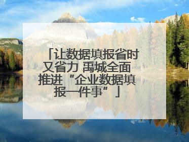 让数据填报省时又省力 禹城全面推进“企业数据填报一件事”