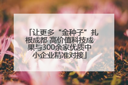 让更多“金种子”扎根成都 高价值科技成果与300余家优质中小企业精准对接