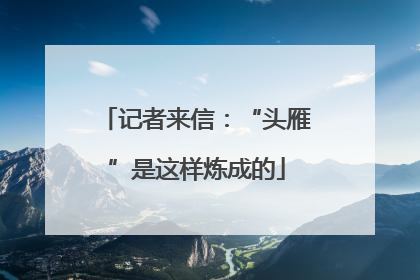 记者来信：“头雁”是这样炼成的