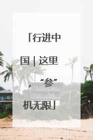 行进中国｜这里，“参”机无限