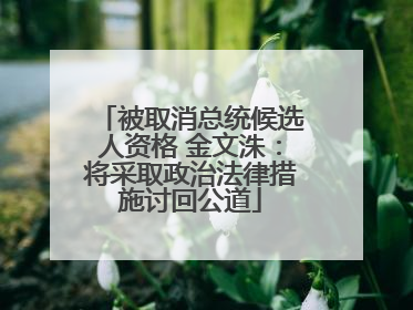 被取消总统候选人资格 金文洙：将采取政治法律措施讨回公道